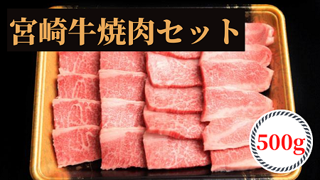宮崎牛焼肉用500g