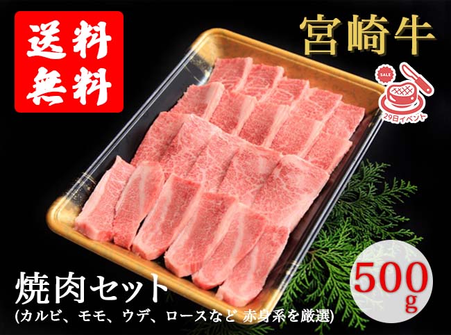 【月イチ限定商品】宮崎牛焼肉セット 500g(送料無料)