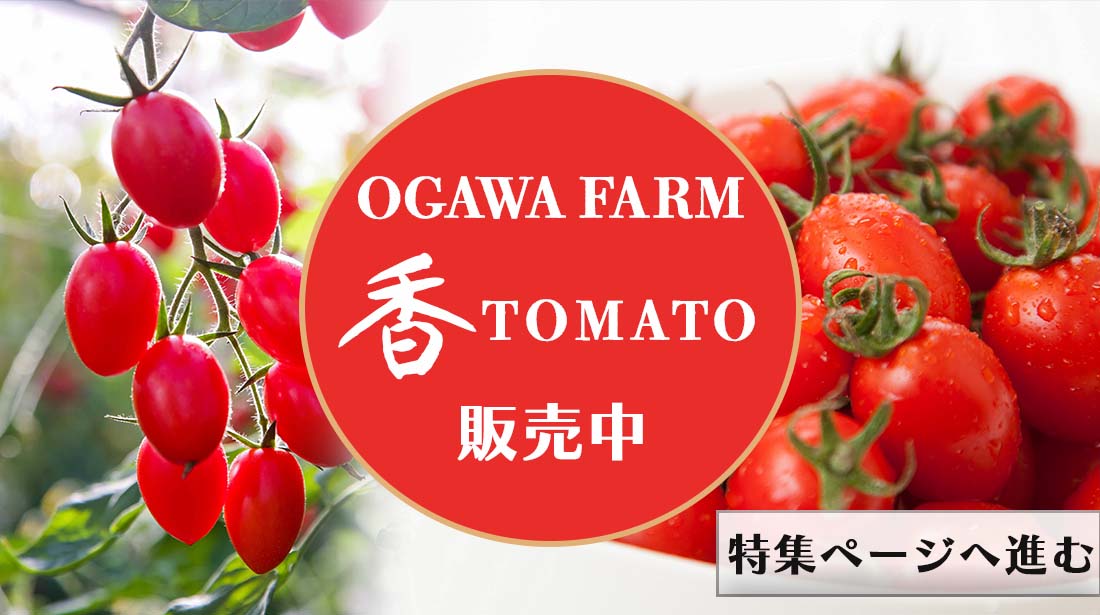 OGAWA FARM 香TOMATO販売中