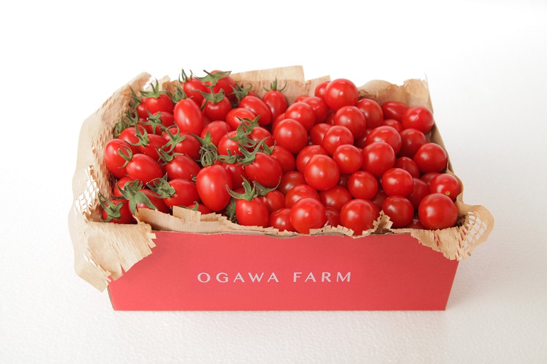 OGAWA FARM 香TOMATOギフトセット(1kg)
